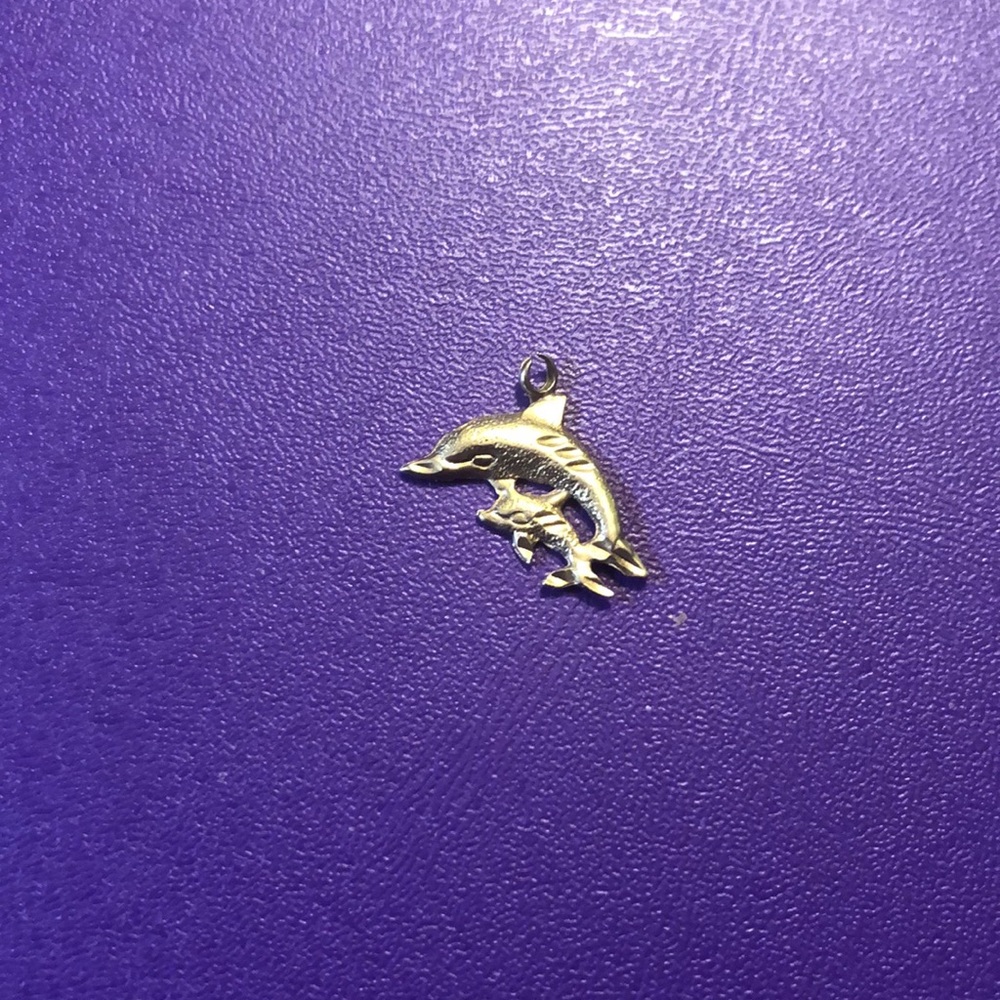 14K dolphin charm